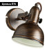 Спот Arte Lamp Martin A5213AP-1BR