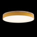 Потолочный светильник Loft IT AXEL 10001/36 Yellow