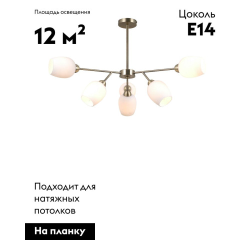 Люстра на штанге Moderli Cassy V10820-6C