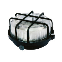 Настенно-потолочный светильник TDM Electric НПП 03-100-005.04 SQ0311-0002