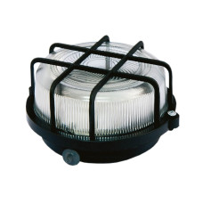 Настенно-потолочный светильник TDM Electric НПП 03-100-005.04 SQ0311-0002