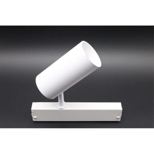 Трековый магнитный светильник Aployt Magnetic track 220 APL.0205.10.20