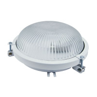 Настенно-потолочный светильник TDM Electric Рыбий глаз НПП 03-100-020.01 SQ0311-0006