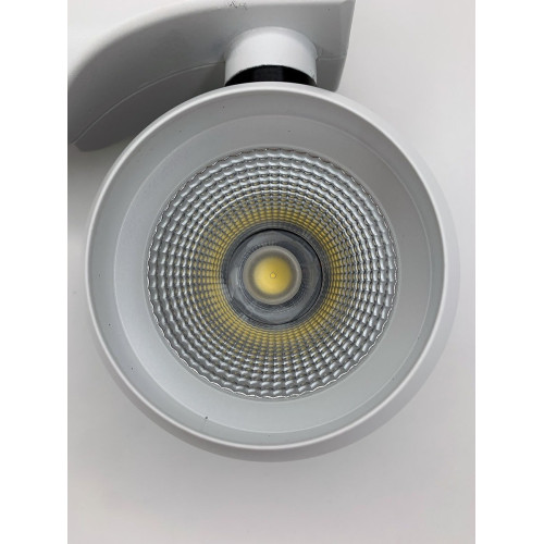 Трековый двухфазный светильник Elvan ST-PJ-021-20-NH