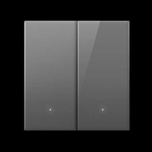Yeelight Pro S21 2 gang smart switch (N L wire version)-Grey