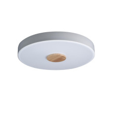 Потолочный светильник Loft IT AXEL 10003/24 White