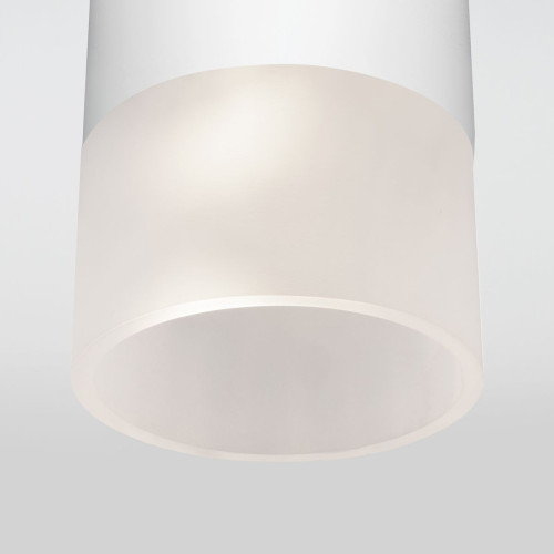 Уличный потолочный светильник Elektrostandard Light LED 4690389177927
