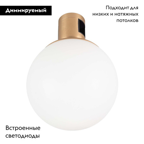 Трековый светильники Arlight ART-APRIORI-SFERO-R120-5W Day4000 044905 Трековый светильники Arlight ART-APRIORI-SFERO-R120-5W Day4000 044905