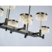 Подвесная люстра Delight Collection MD21020075 MD21020075-6B matt black