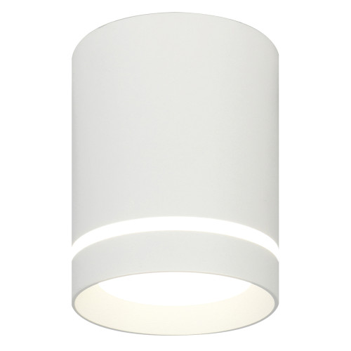 Потолочный светильник 20009 20009SMU/01LED SWH