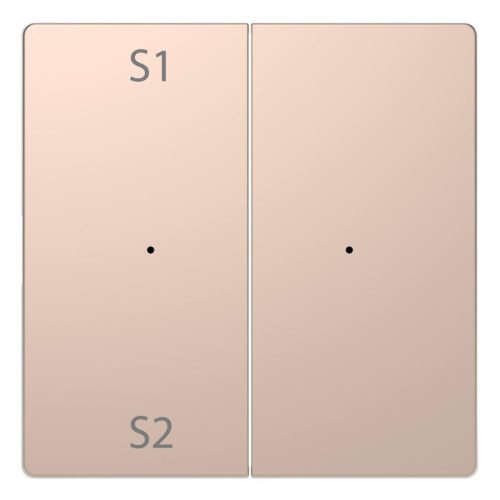 Клавиша двойная Schneider Electric Merten D-Life MTN5226-6051