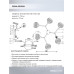 Люстра на штанге Seven Fires Aelin SF3367/6C-BK-FGD-AM