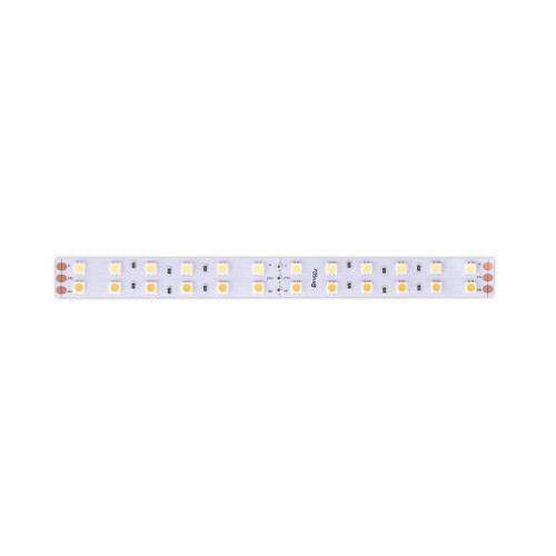 Светодиодная лента DesignLed DSG5120-24-W+WW-33 000515