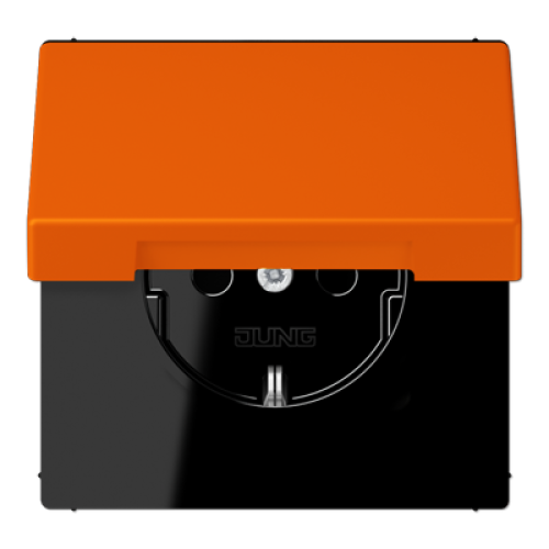 Розетка 2K+З с крышкой Jung LC1520BFKL224
