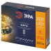 Светодиодная гирлянда Эра ENIN-2000G Б0060426