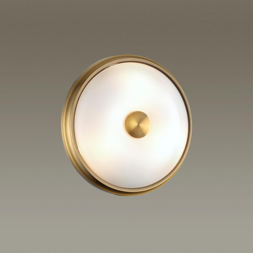 Настенно-потолочный светильник Odeon Light Pelow 4956/2