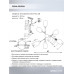 Люстра на штанге Seven Fires Inesh SF3368/6C-BK-FGD-AM