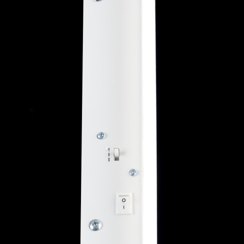 Настенный светильник Citilux Тринити CL238560