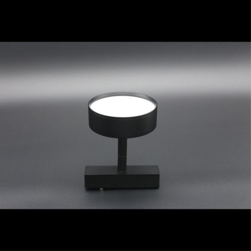 Трековый магнитный светильник Aployt Magnetic track 48 APL.0118.00.09