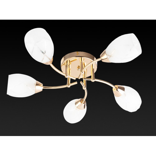 Потолочная люстра Toplight Lucy TL7120X-05FG
