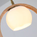 Подвесной светильник Arte Lamp Caprice A4182SP-1BR