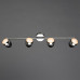 Светодиодный спот Arte Lamp A6701PL-4CC