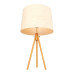 Настольная лампа LOFT IT Natural Loft7112T