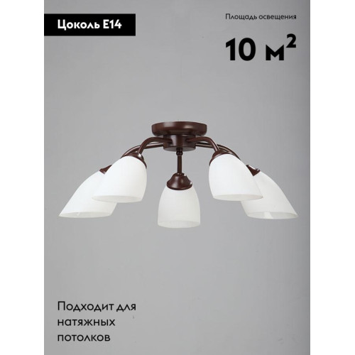 Потолочная люстра Vitaluce V3252/5PL