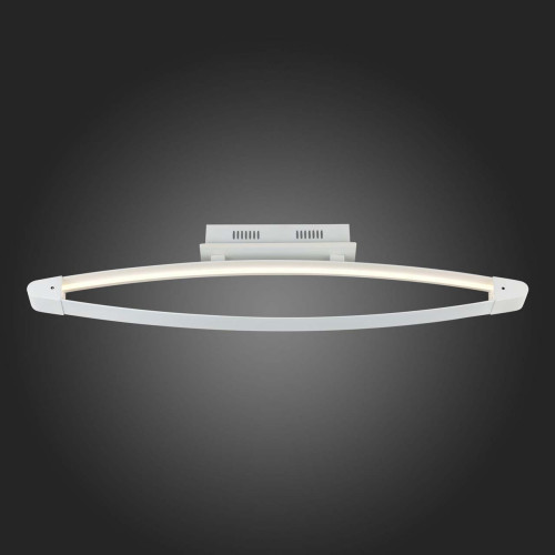 Потолочный светодиодный светильник ST Luce SL920.102.01