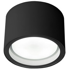 Уличный потолочный светильник Elektrostandard Light 4690389180835