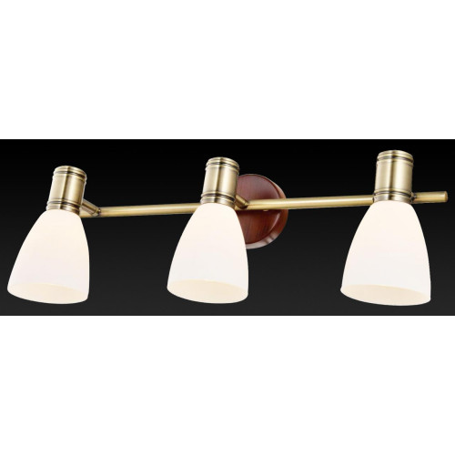 Спот Toplight Sharyl TL3720Y-03BB