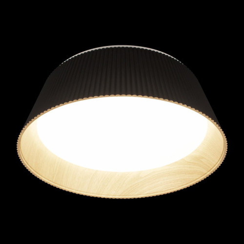 Потолочный светильник Loft IT Evans 10224 Black