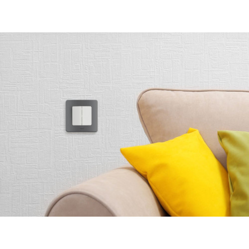 Выключатель двухклавишный Legrand Inspiria 673620