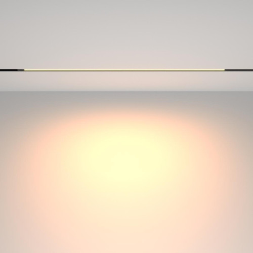 Трековый магнитный светильник Maytoni Technical Basis TR231-2-15W3K-B