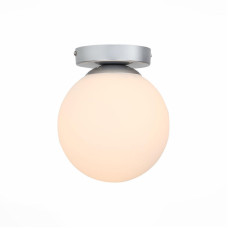 Настенно-потолочный светильник ST Luce Acini SL717.501.01