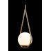 Подвесной светильник Loft IT Glob LOFT2599-A