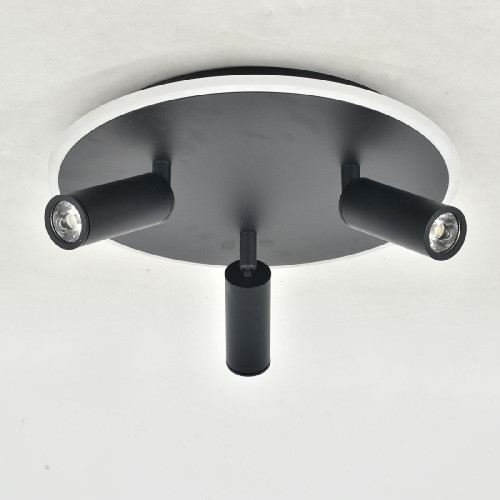 Потолочный светильник Escada 20046SMA/03LED BK