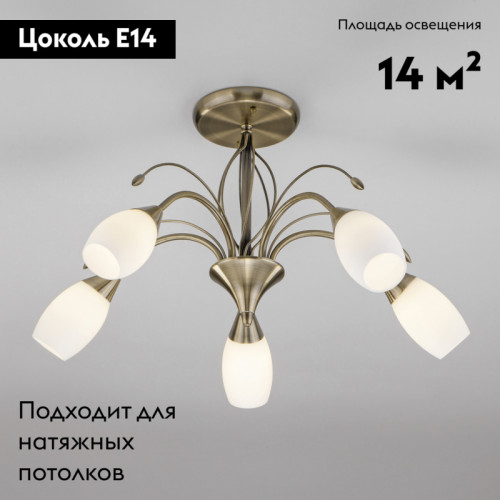 Потолочная люстра Eurosvet Ginevra 30280/5 античная бронза