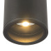 Уличный потолочный светильник Maytoni Bar O306CL-L7GF