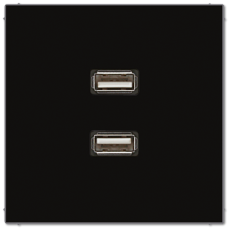 Розетка USB Jung MALS1153SW