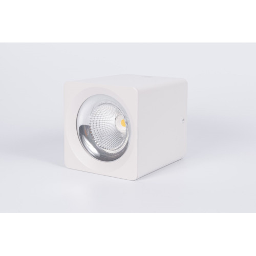 Накладной светодиодный светильник Fiberli CH-SD220-1(W) 12120103