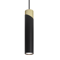 Подвесной светильник Wolta Dolce WSL-GU10/P06BG