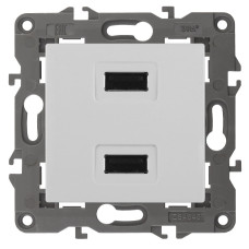 Розетка USB Эра 14-4110-01 Б0034358