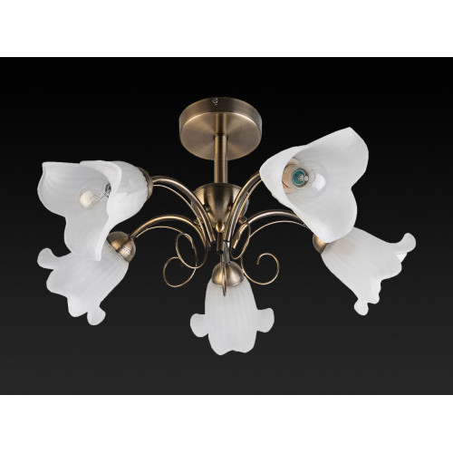 Потолочная люстра Toplight Magdalene TL3490X-05AB