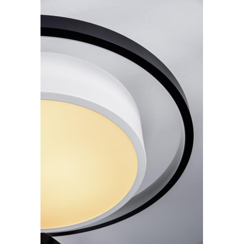 Потолочный светодиодный светильник Escada 10243/6LED Потолочный светодиодный светильник Escada 10243/6LED
