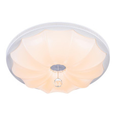 Потолочный светодиодный светильник Escada 10231/S LED