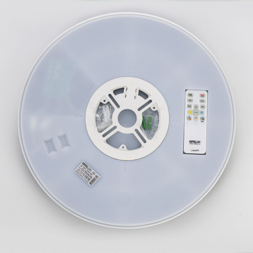 Потолочный светильник Citilux Etalon CL750401R
