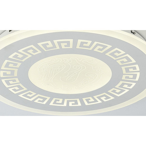 Потолочный светодиодный светильник F-Promo Ledolution 2273-5C