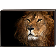 Постер на подрамнике Toplight 60x90х4см TL-D4042
