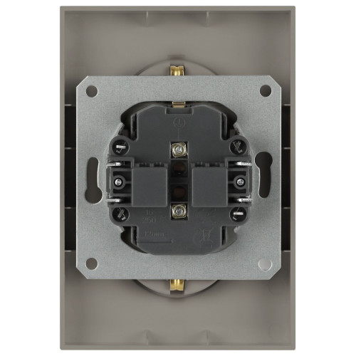 Розетка Эра Arktik 16-2105-07 двойная с заземлением 2X2P+E Schuko со шторками 16А-250В титан Б0070460